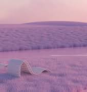 The dangers and environmental impact of using AI in your business