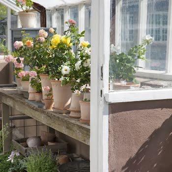 Pots to brighten up your outdoor space