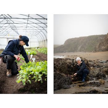 Meet the Irish women growers and foragers merging artistry with ecology