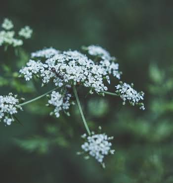 end of life planning